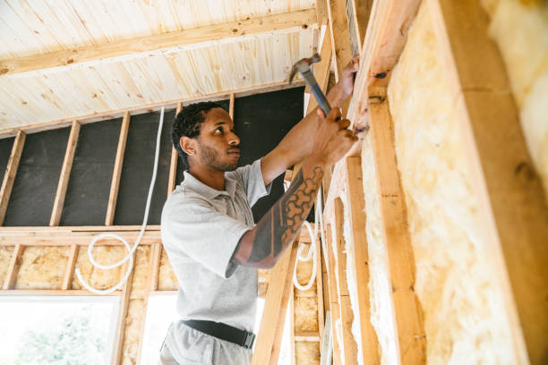 Best Best Insulation Companies  in Wilmington Manor, DE